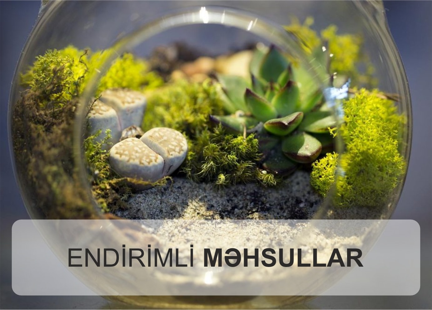 Endirilmi məhsullar