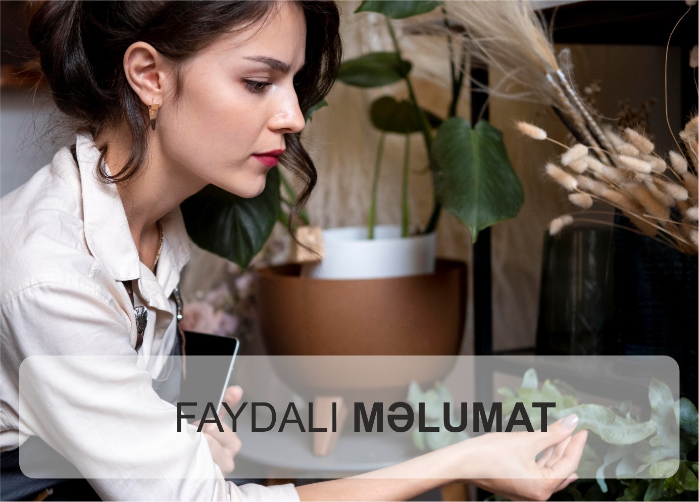 Faydalı məlumat