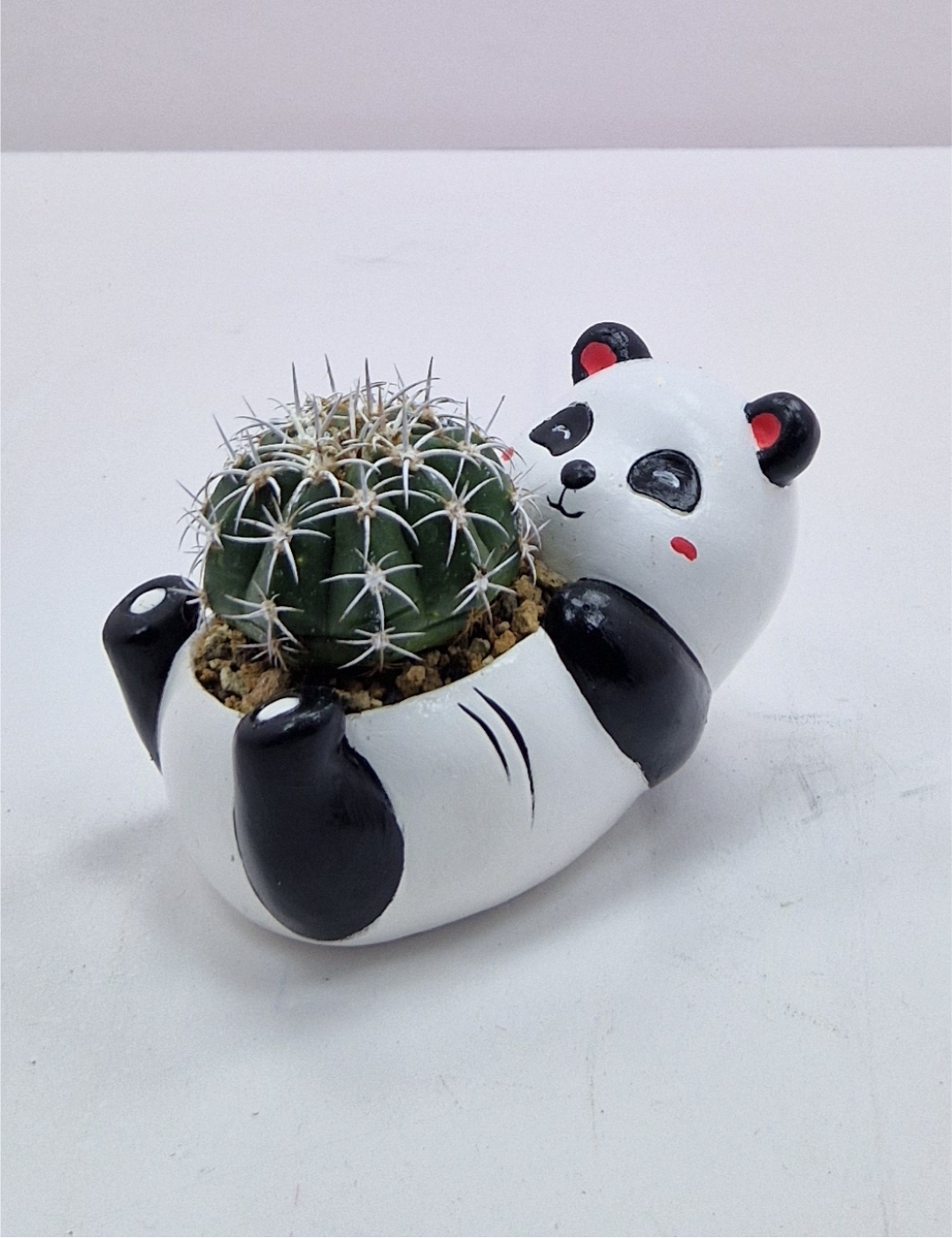 panda-fiquru