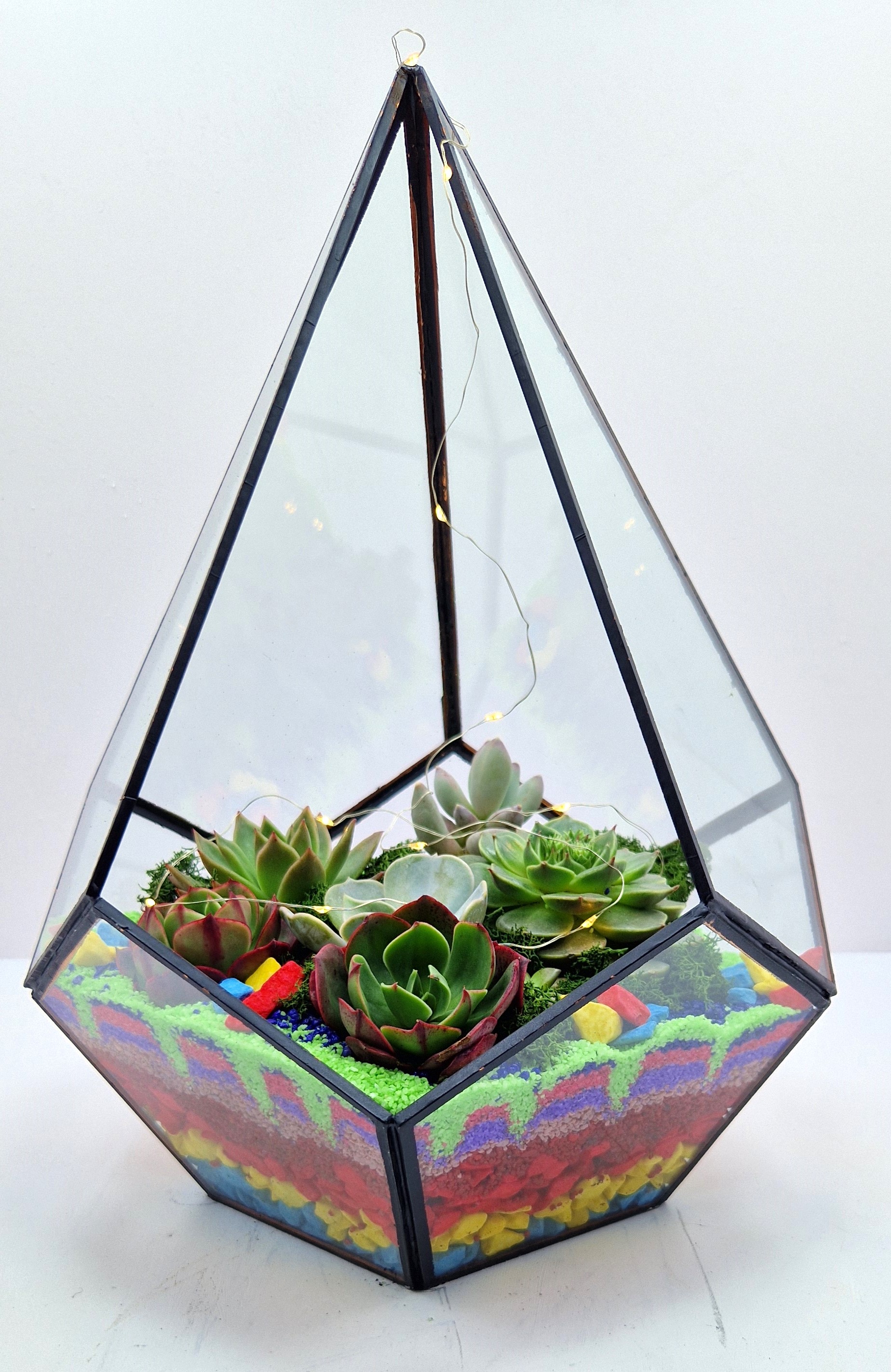 damci-formali-geometrik-terrarium