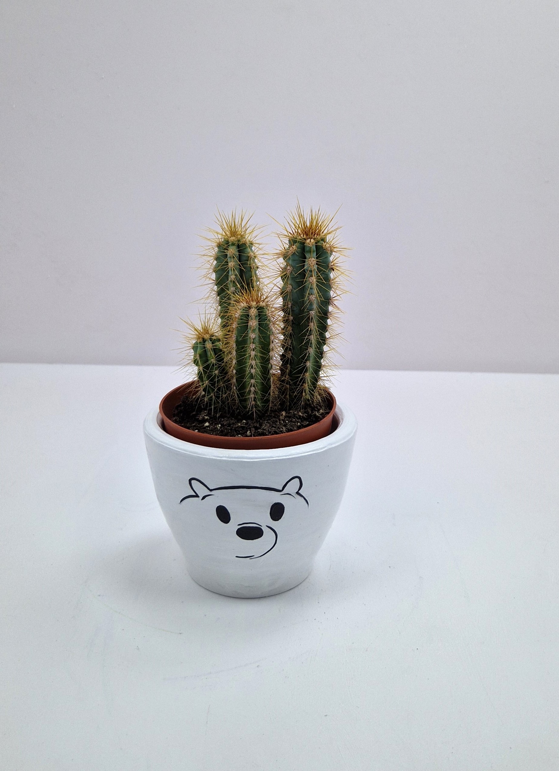 3-bears-Ice-bear