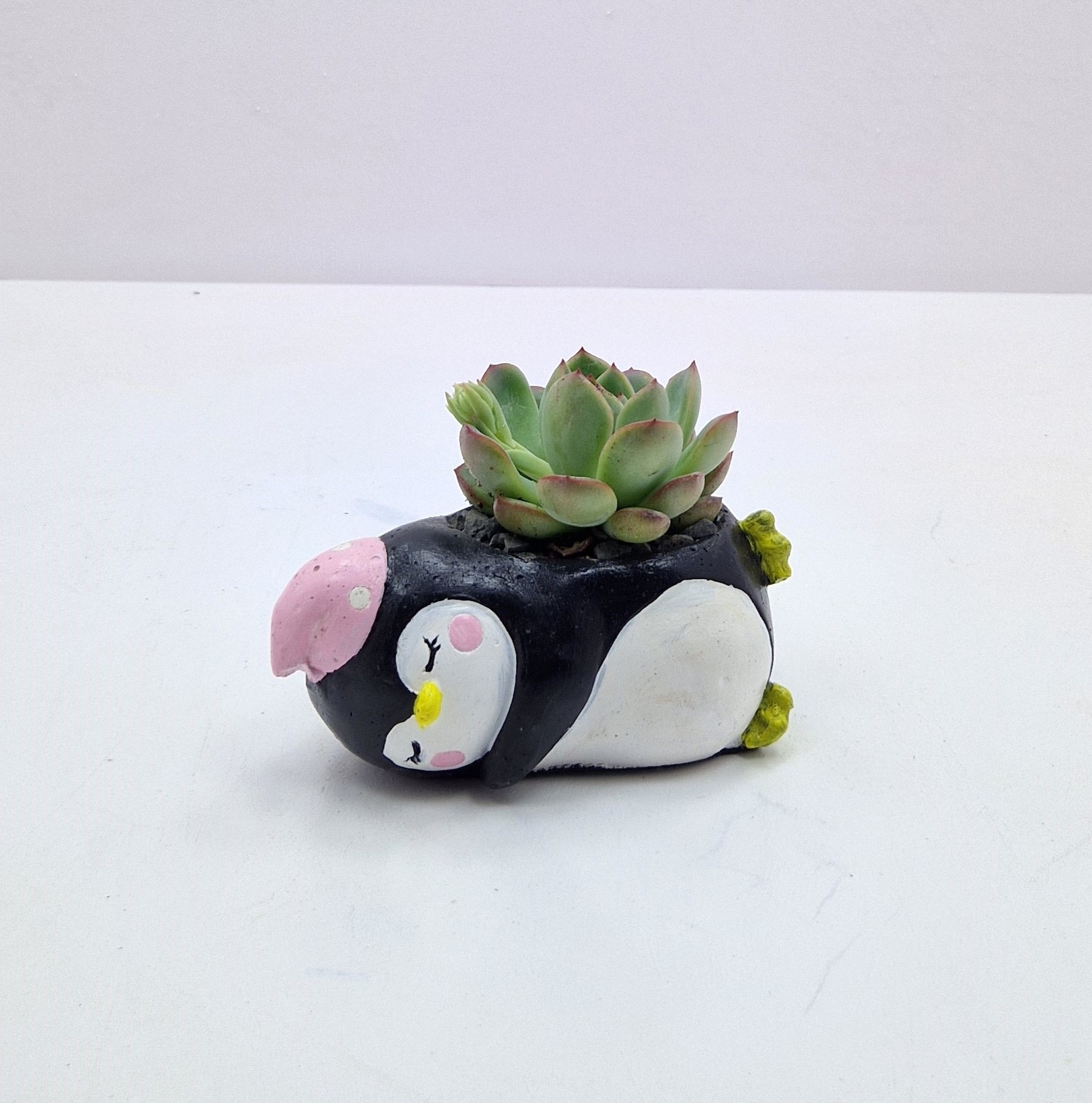 pinqivin