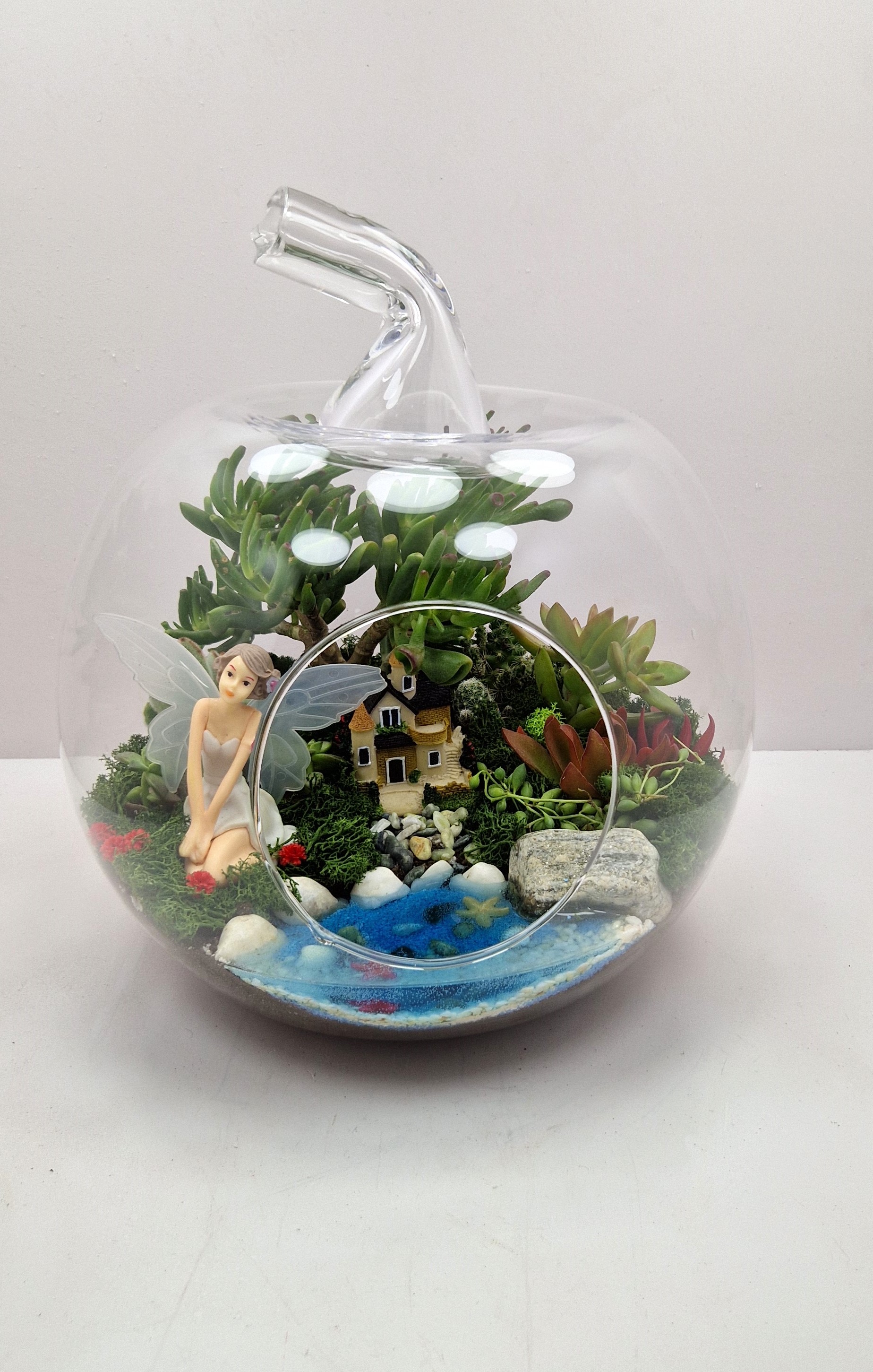 alma-formali-terrarium